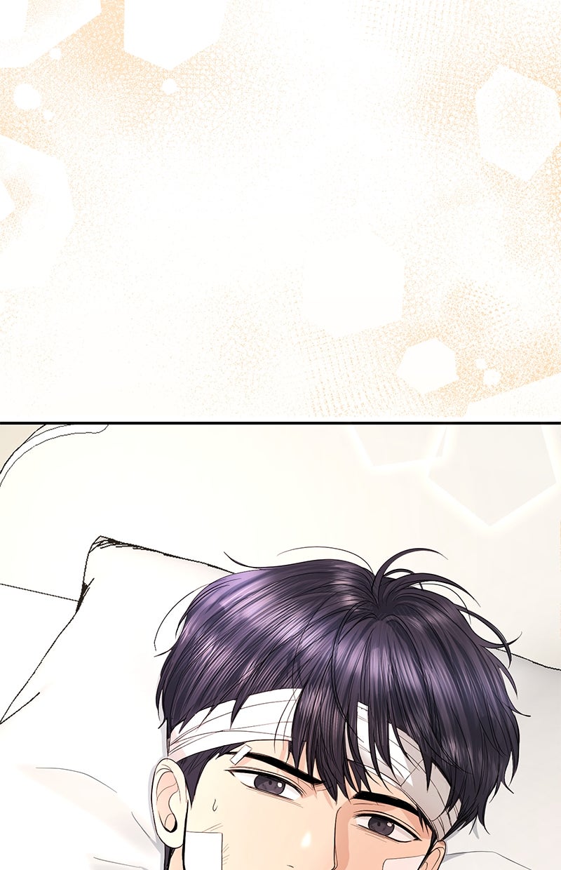 Read Perfect Marriage Revenge Manga Online