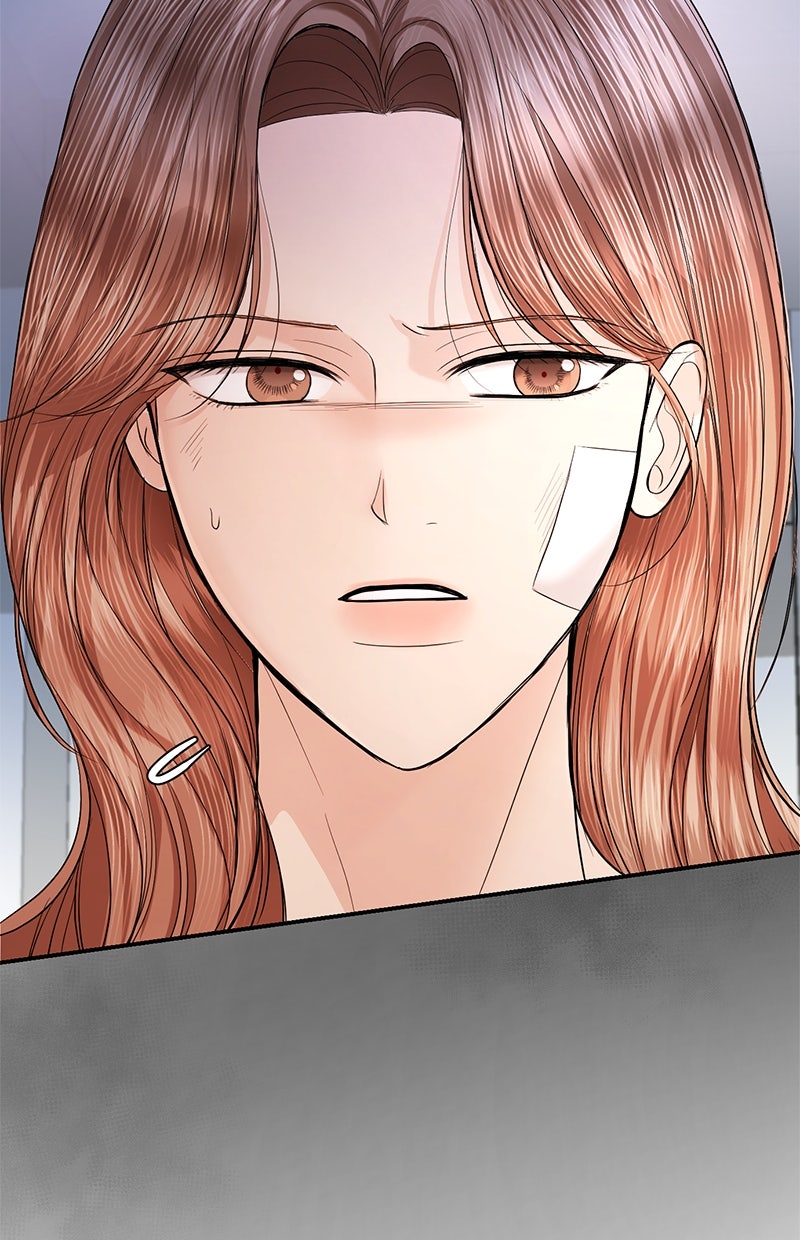 Read Perfect Marriage Revenge Manga Online