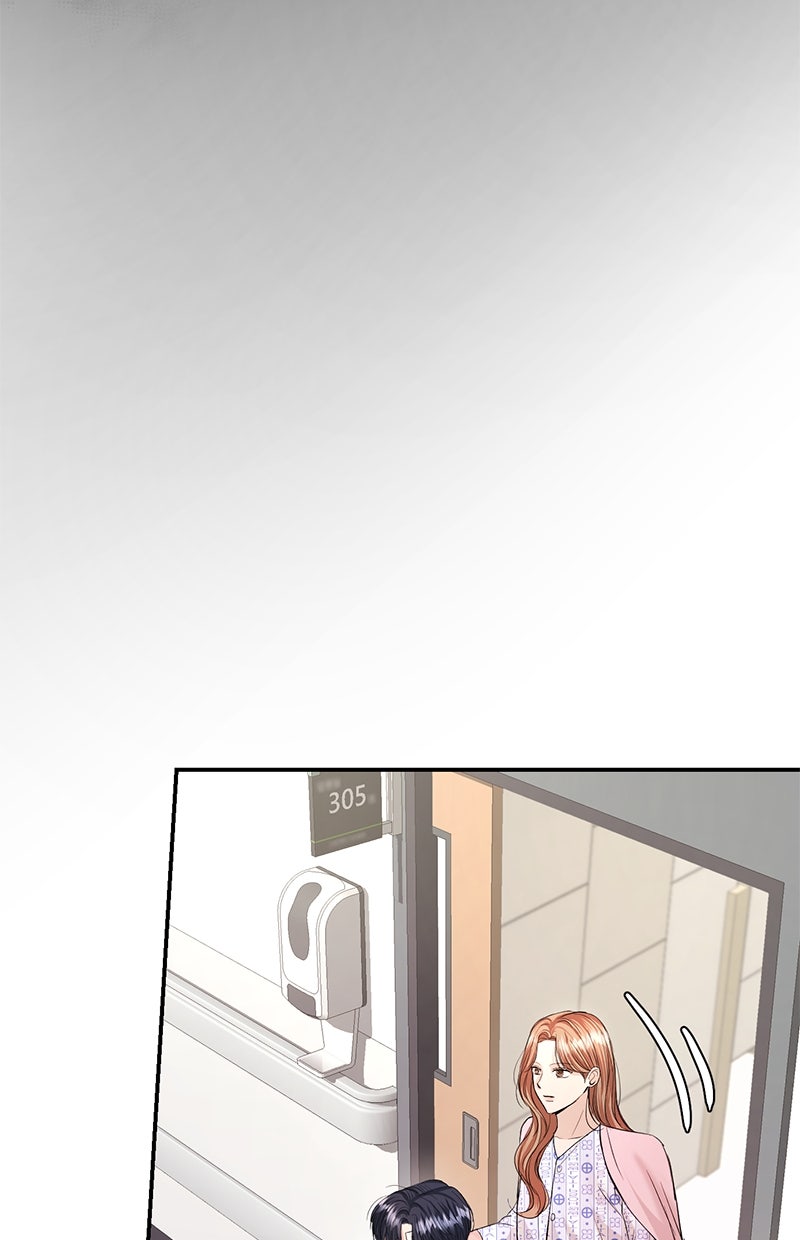 Read Perfect Marriage Revenge Manga Online