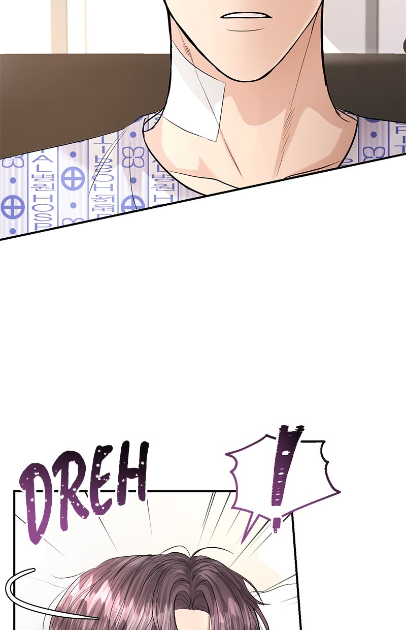 Read Perfect Marriage Revenge Manga Online