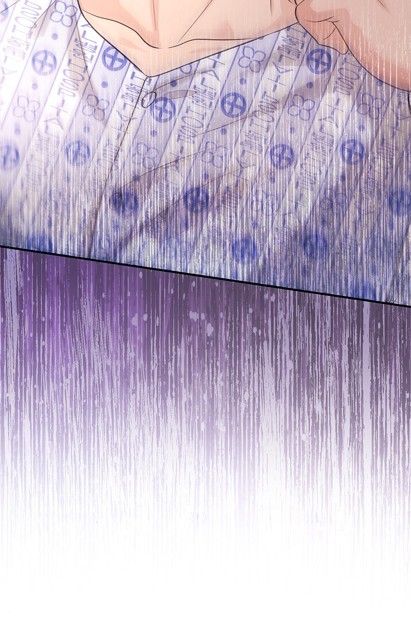 Read Perfect Marriage Revenge Manga Online