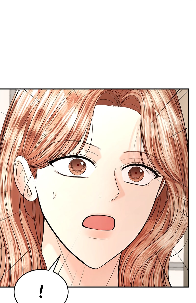 Read Perfect Marriage Revenge Manga Online