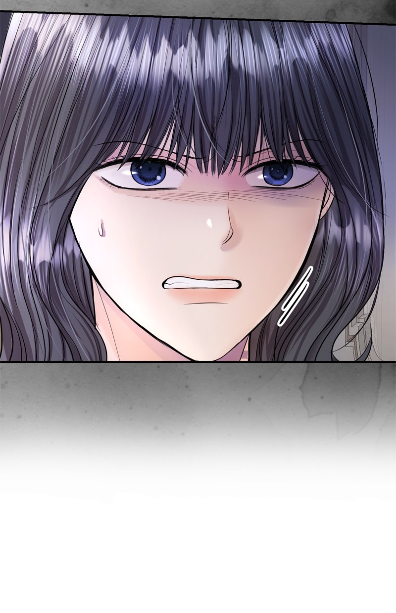 Read Perfect Marriage Revenge Manga Online