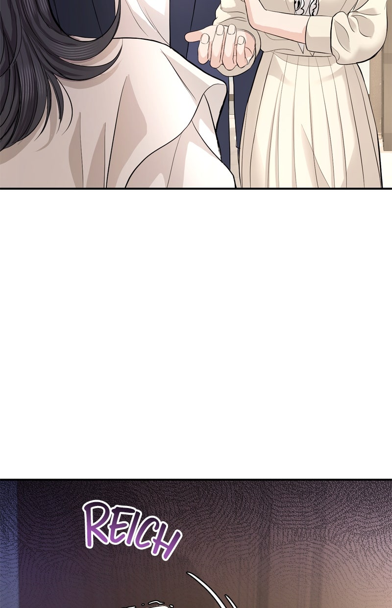 Read Perfect Marriage Revenge Manga Online