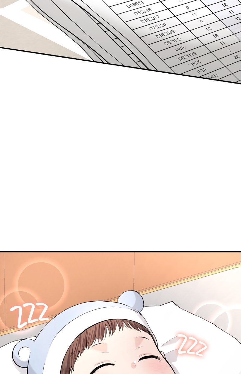 Read Perfect Marriage Revenge Manga Online