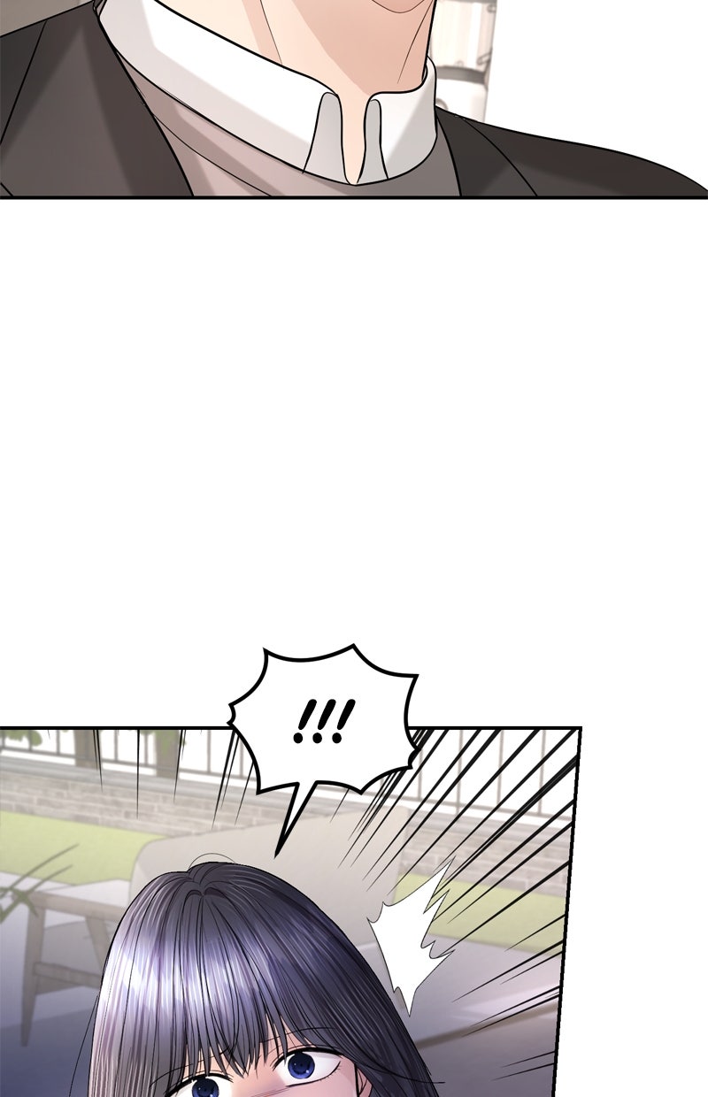 Read Perfect Marriage Revenge Manga Online