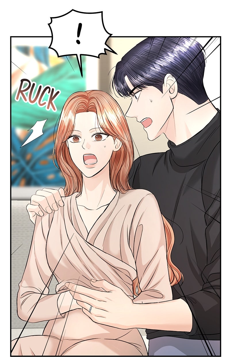 Read Perfect Marriage Revenge Manga Online