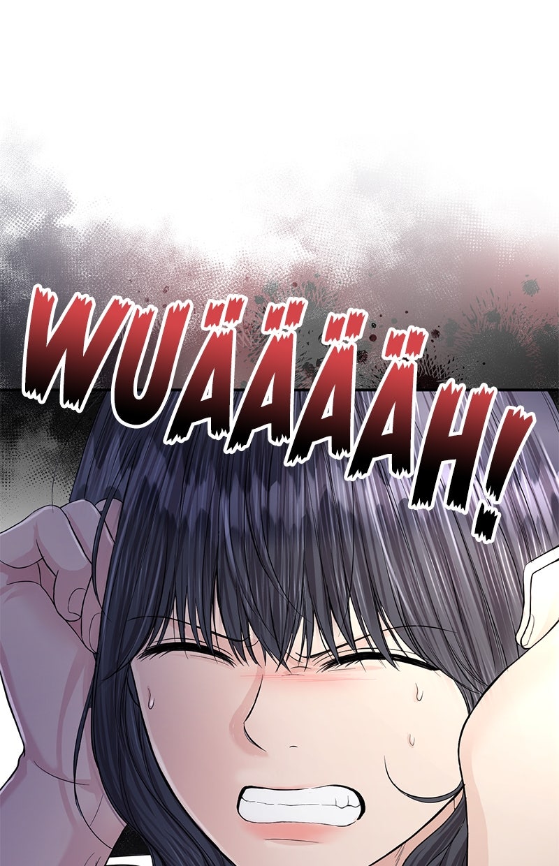 Read Perfect Marriage Revenge Manga Online