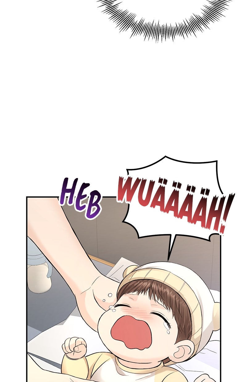 Read Perfect Marriage Revenge Manga Online