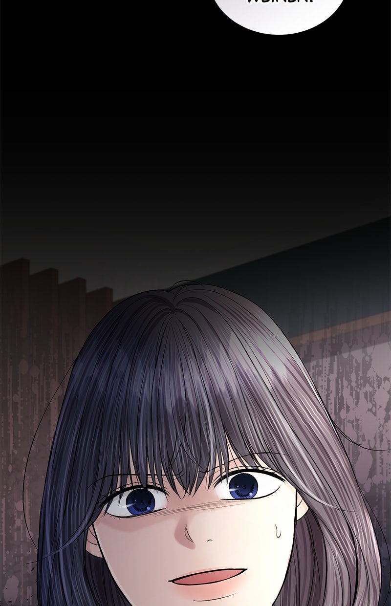 Read Perfect Marriage Revenge Manga Online