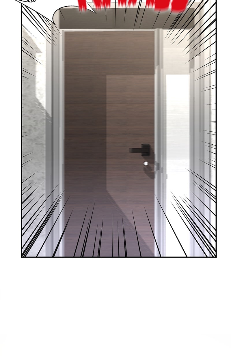 Read Perfect Marriage Revenge Manga Online