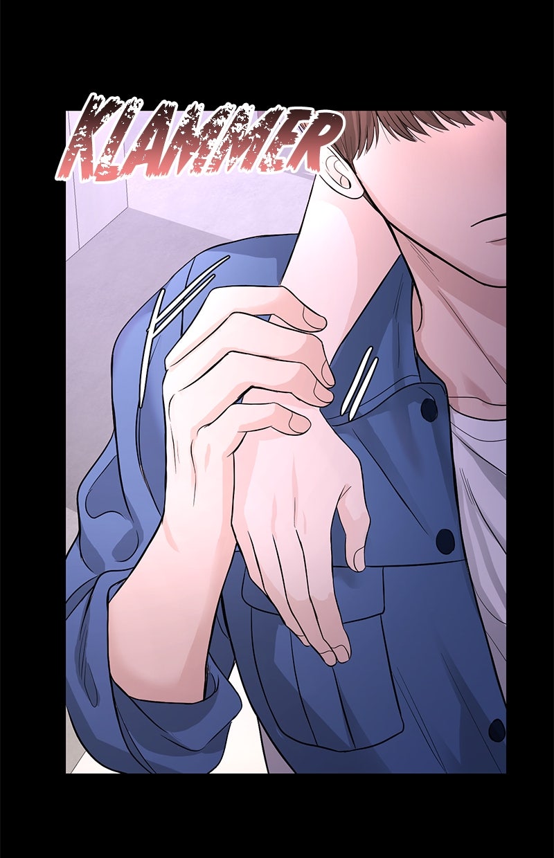 Read Perfect Marriage Revenge Manga Online