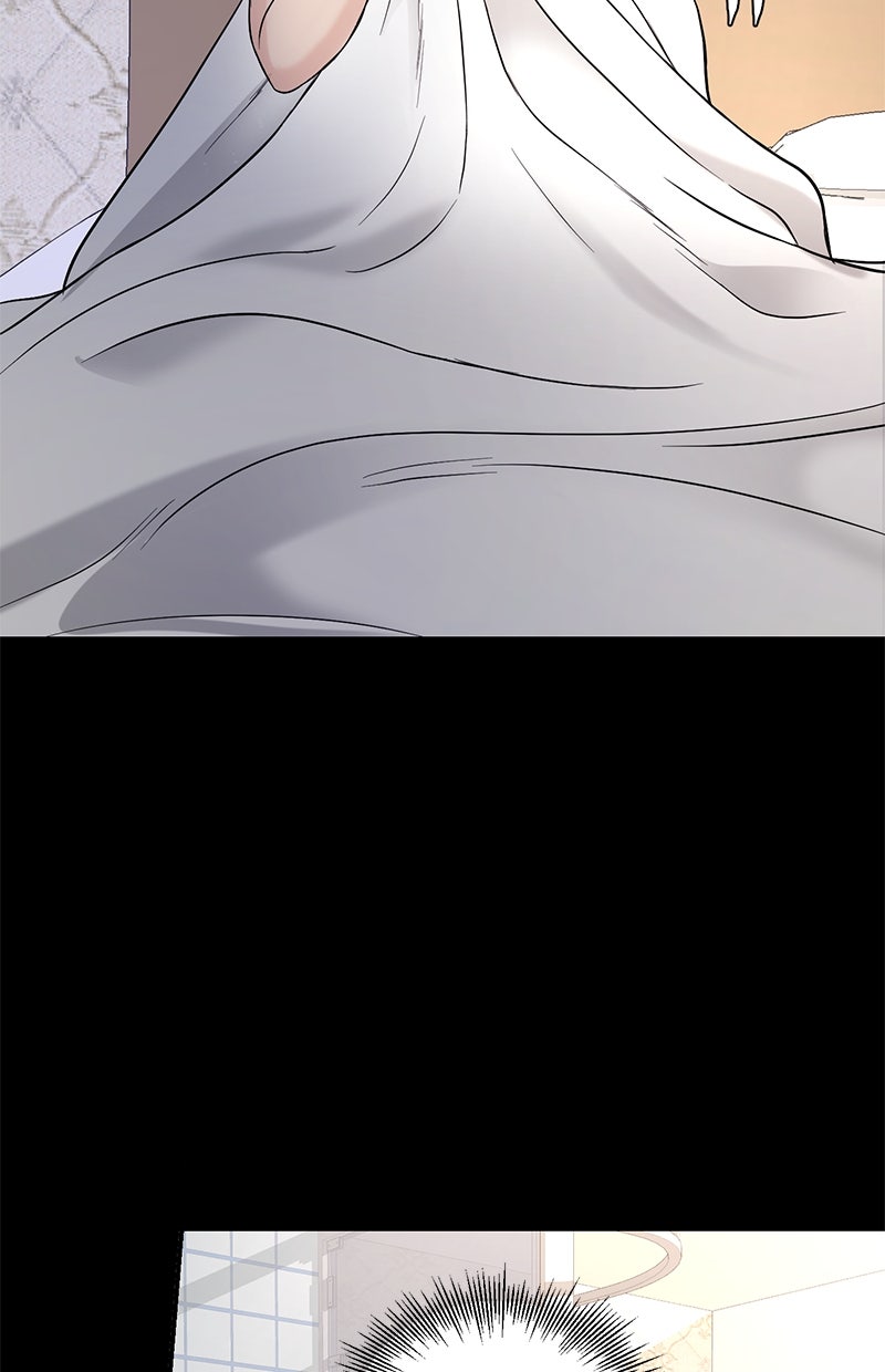 Read Perfect Marriage Revenge Manga Online