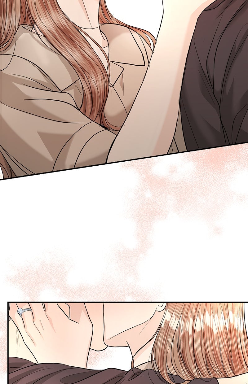 Read Perfect Marriage Revenge Manga Online