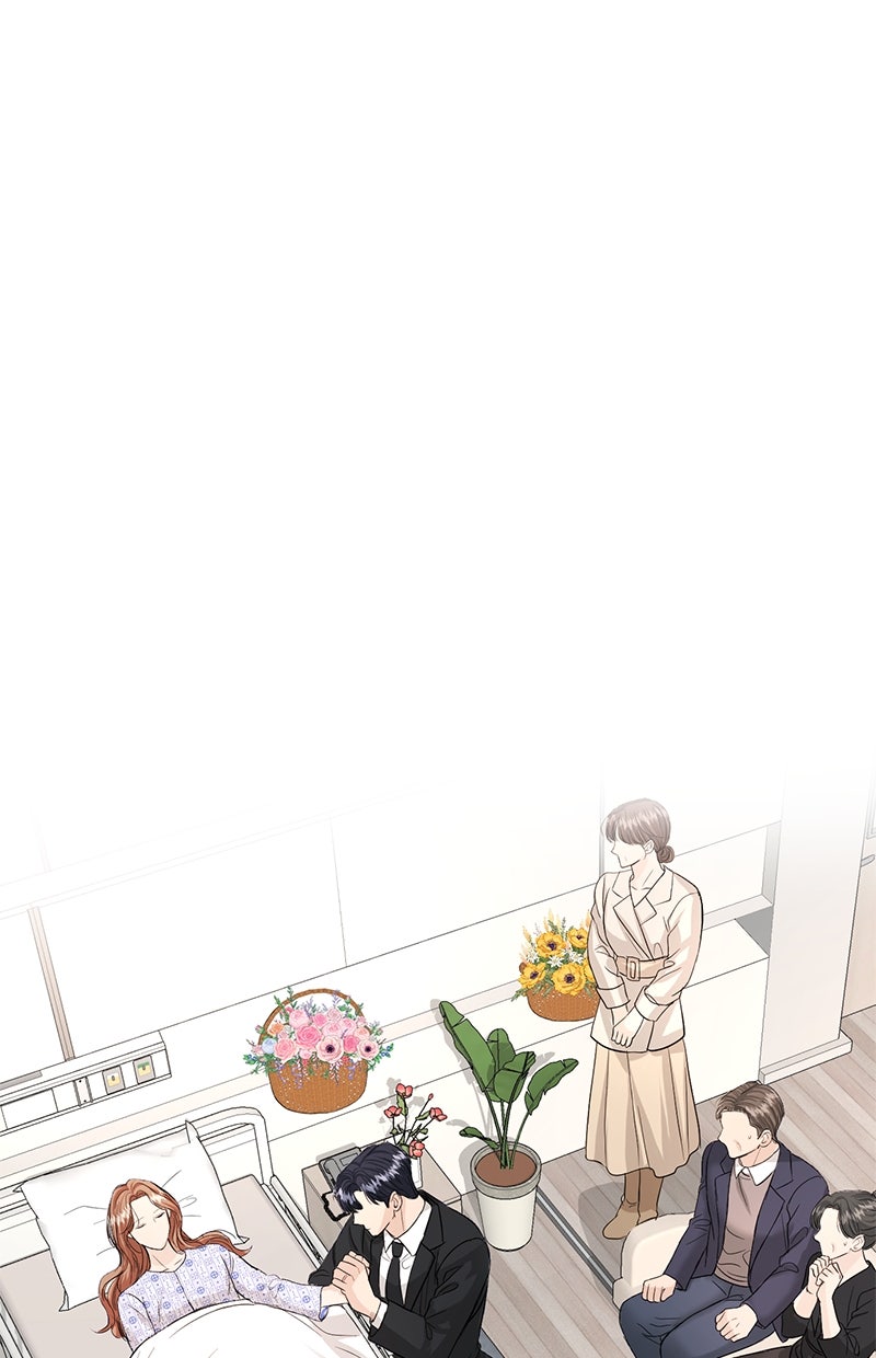 Read Perfect Marriage Revenge Manga Online