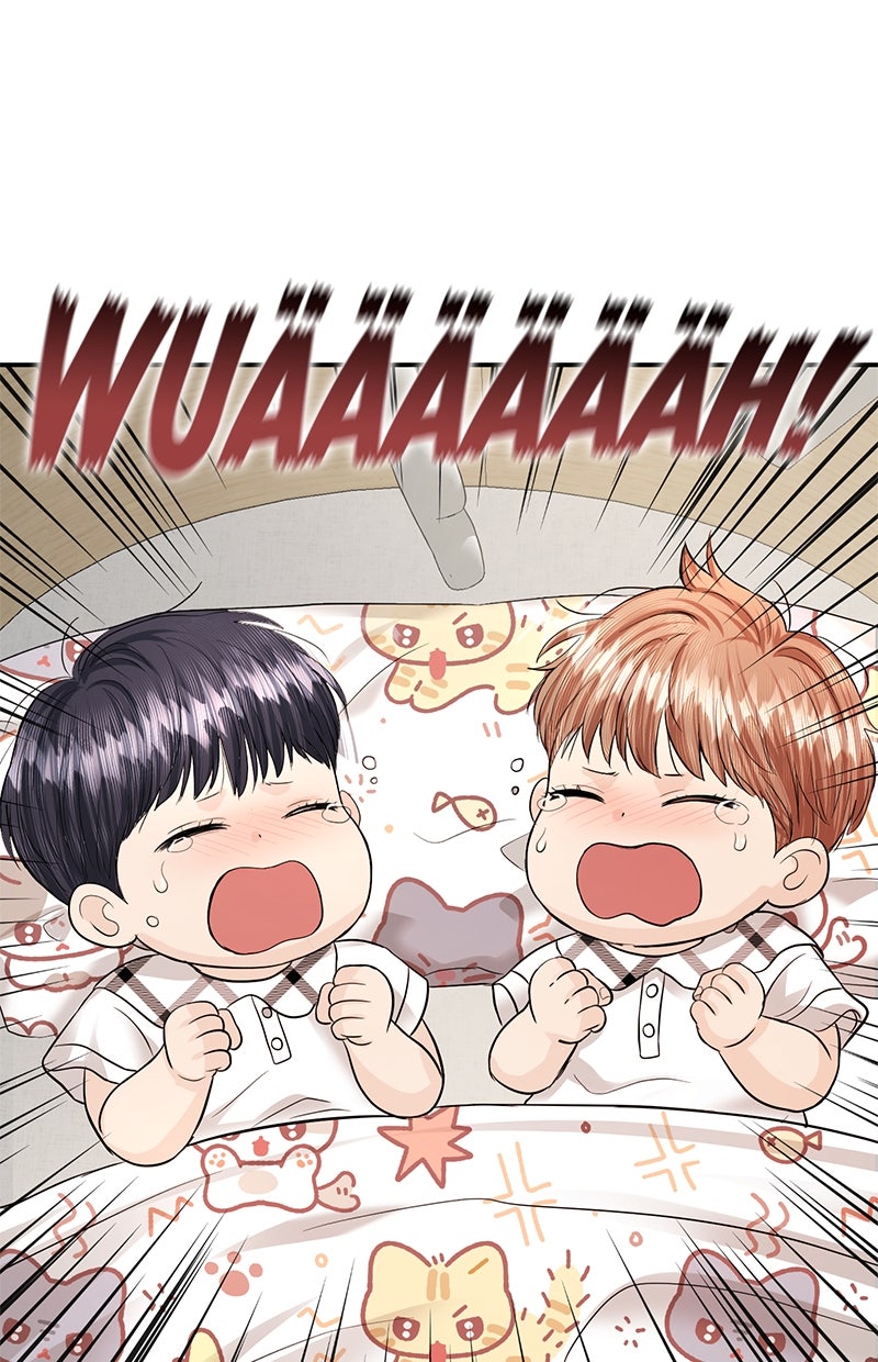 Read Perfect Marriage Revenge Manga Online