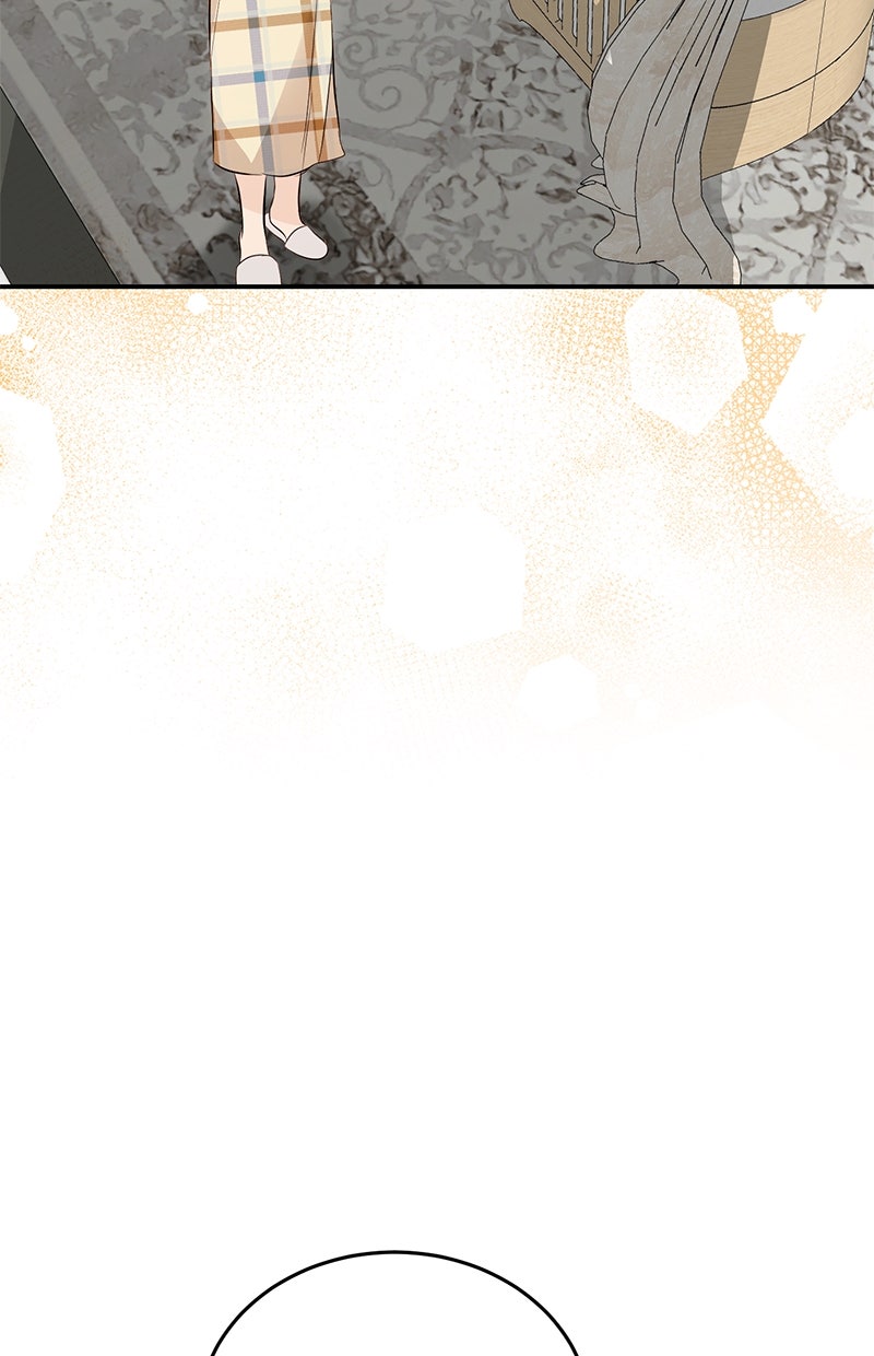 Read Perfect Marriage Revenge Manga Online