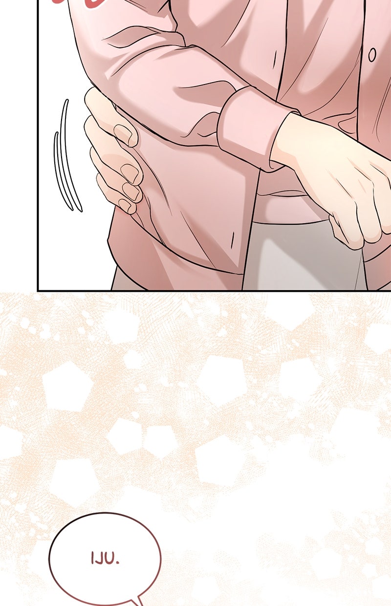 Read Perfect Marriage Revenge Manga Online