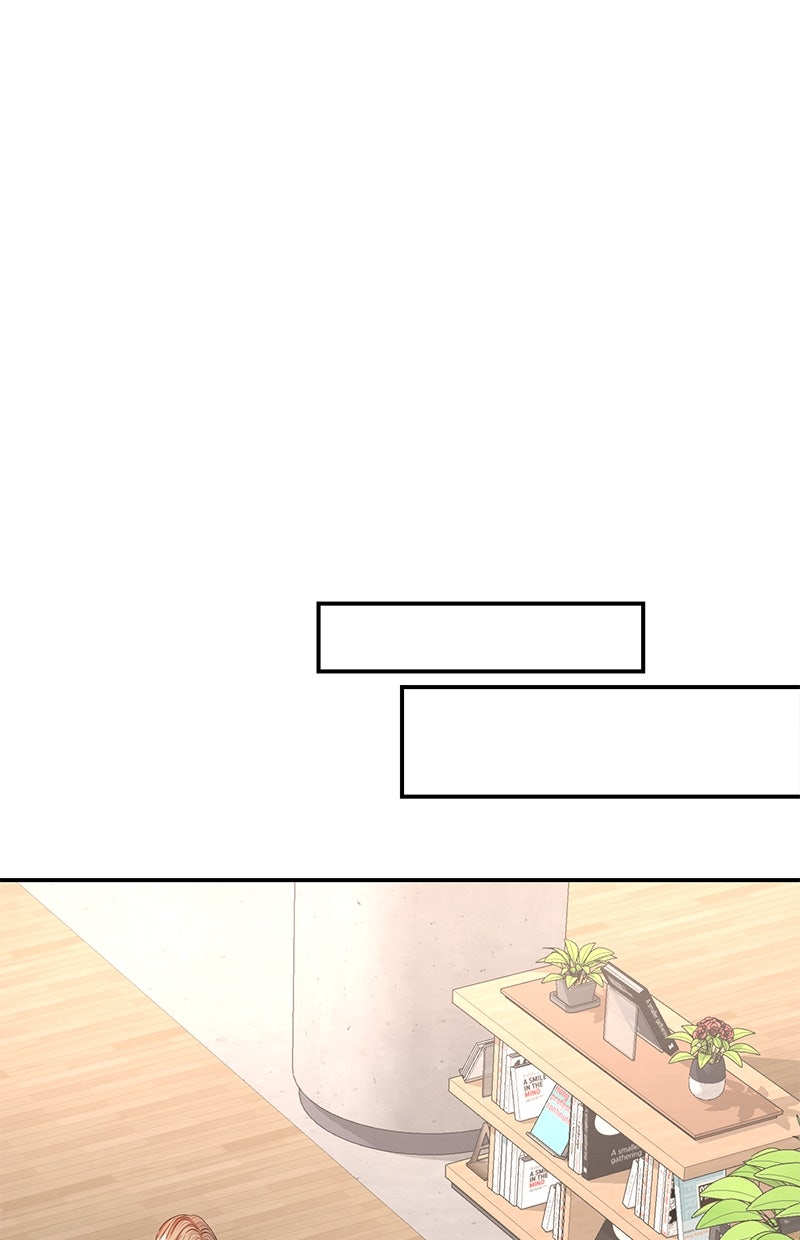 Read Perfect Marriage Revenge Manga Online