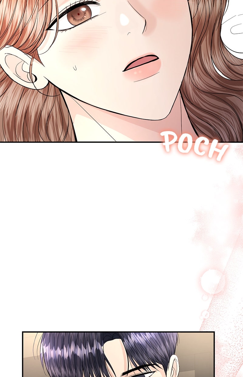 Read Perfect Marriage Revenge Manga Online