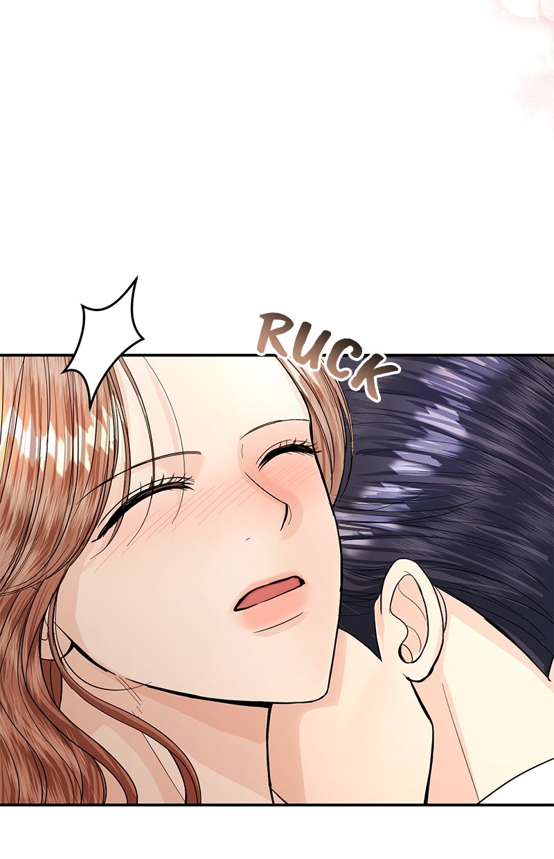 Read Perfect Marriage Revenge Manga Online