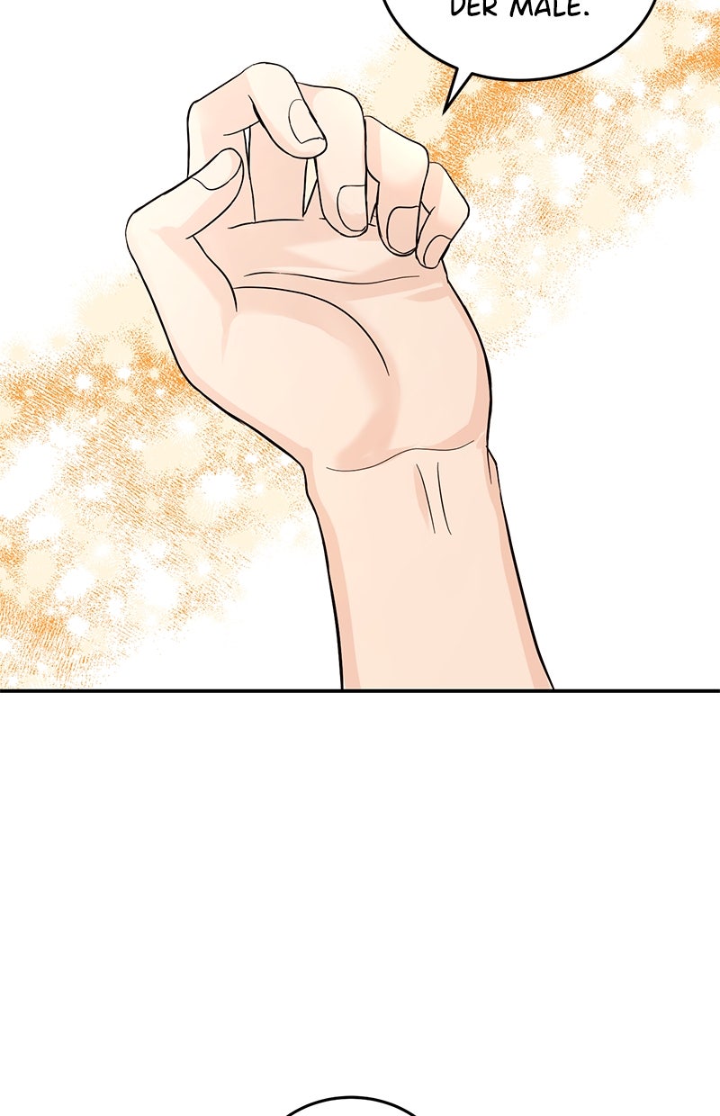 Read Perfect Marriage Revenge Manga Online