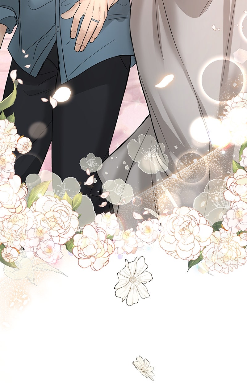 Read Perfect Marriage Revenge Manga Online