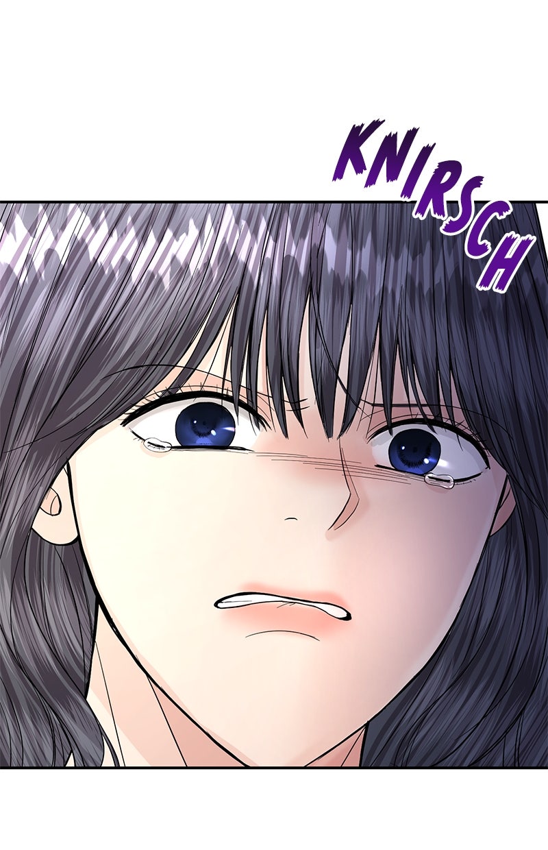 Read Perfect Marriage Revenge Manga Online