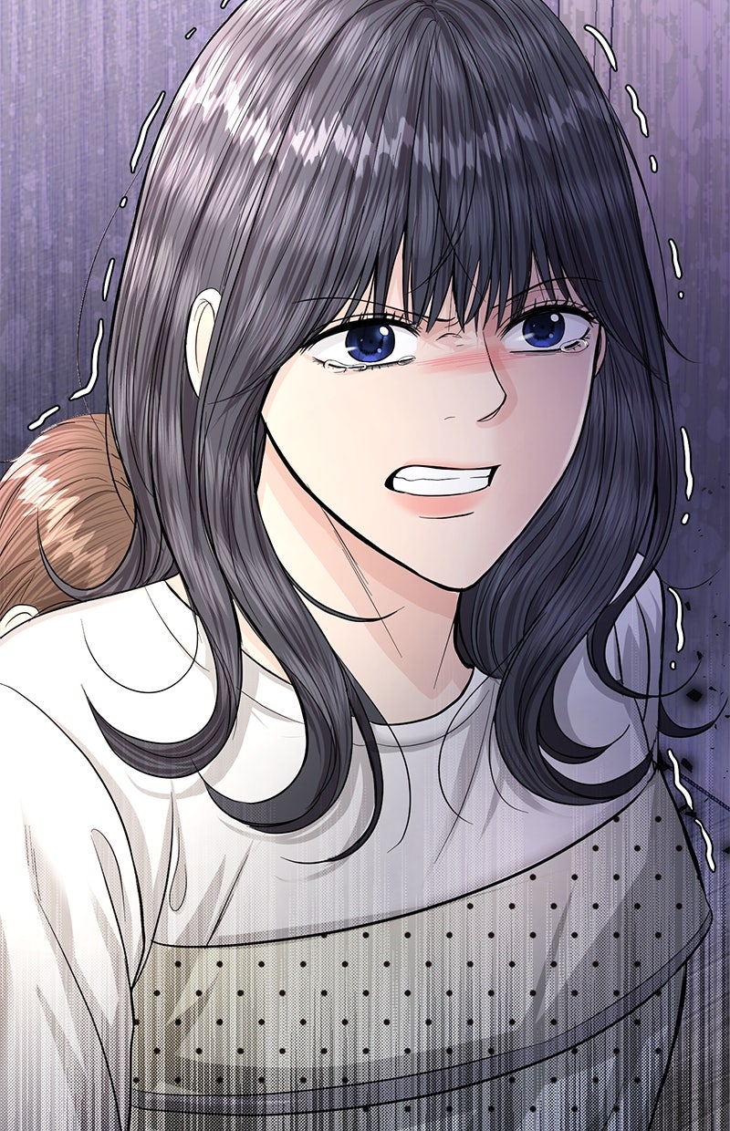 Read Perfect Marriage Revenge Manga Online