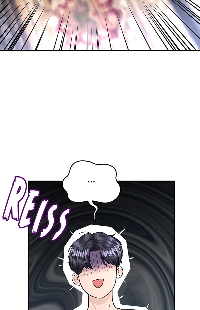 Read Perfect Marriage Revenge Manga Online