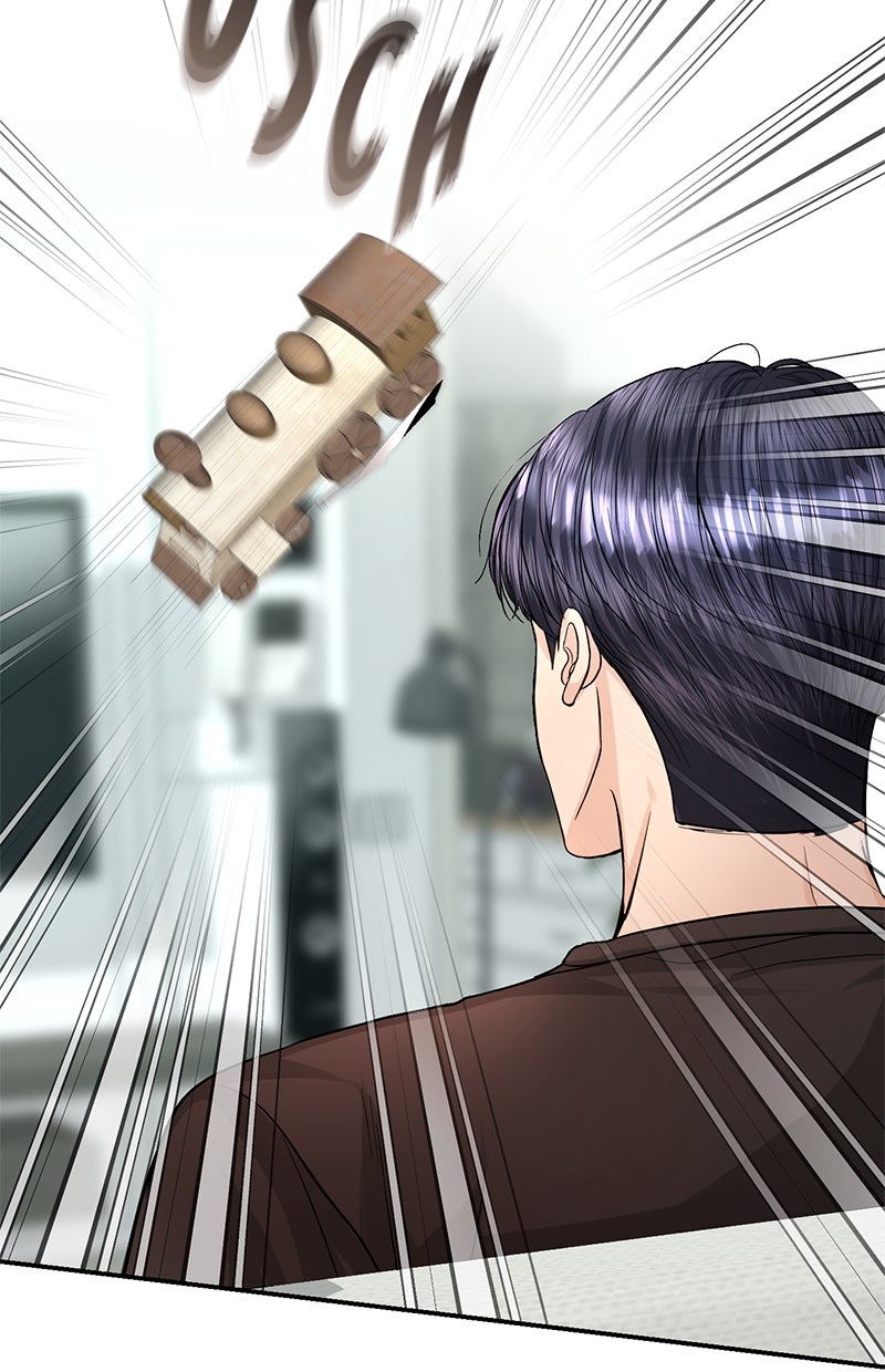 Read Perfect Marriage Revenge Manga Online