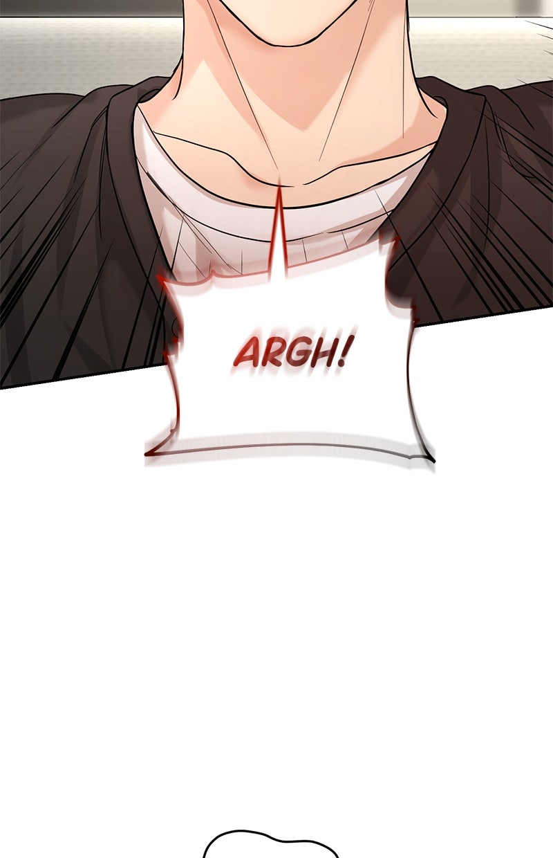 Read Perfect Marriage Revenge Manga Online