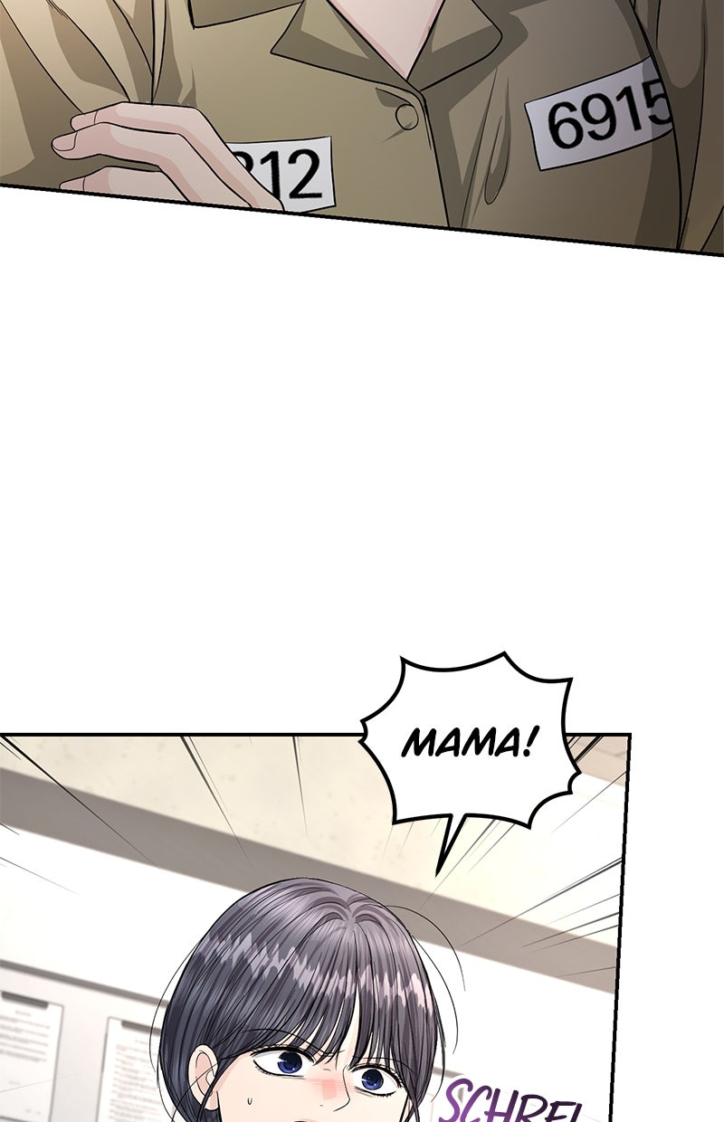 Read Perfect Marriage Revenge Manga Online