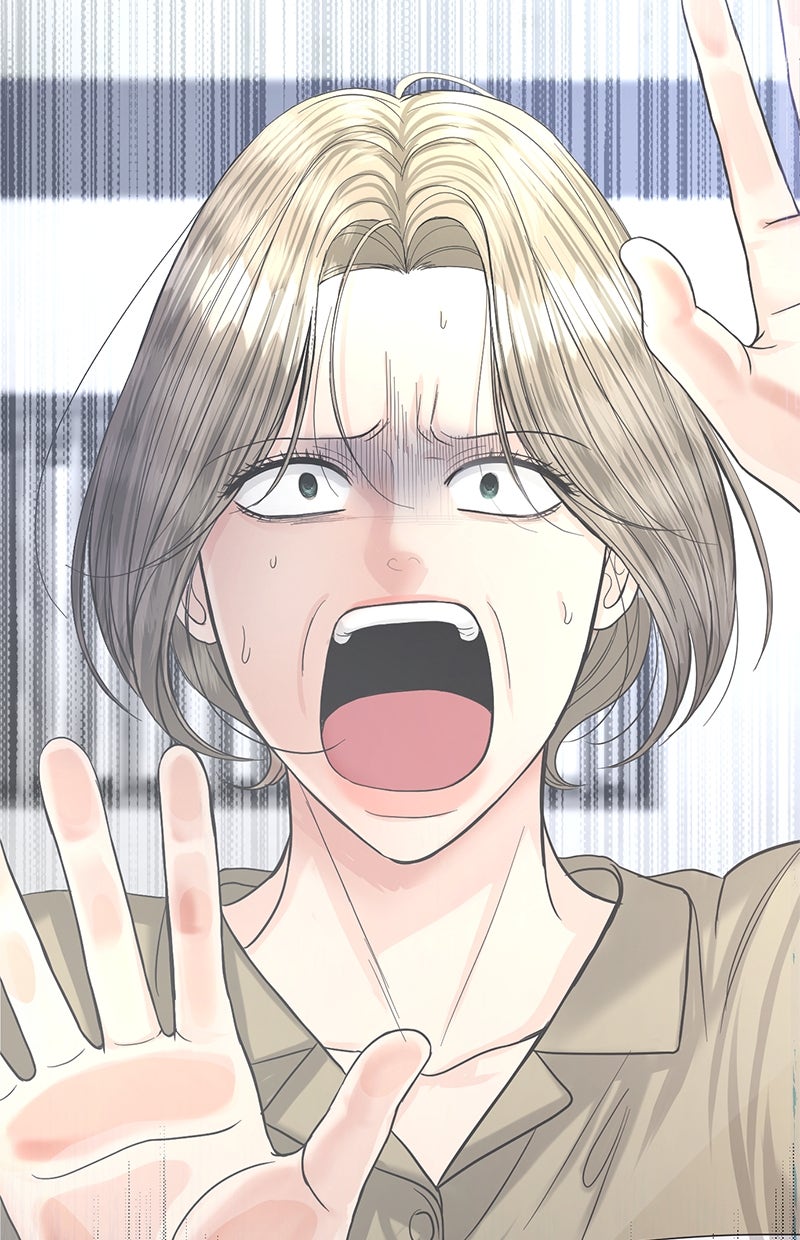 Read Perfect Marriage Revenge Manga Online