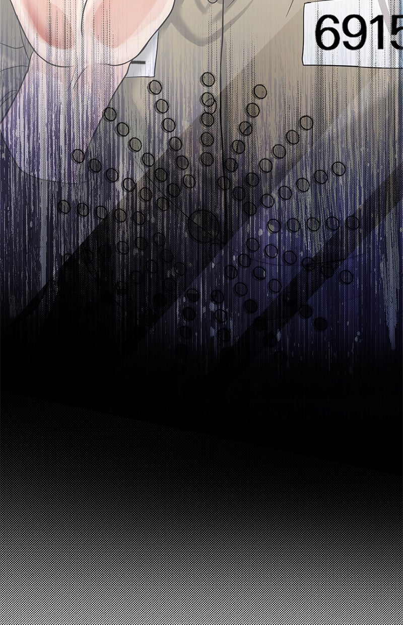 Read Perfect Marriage Revenge Manga Online