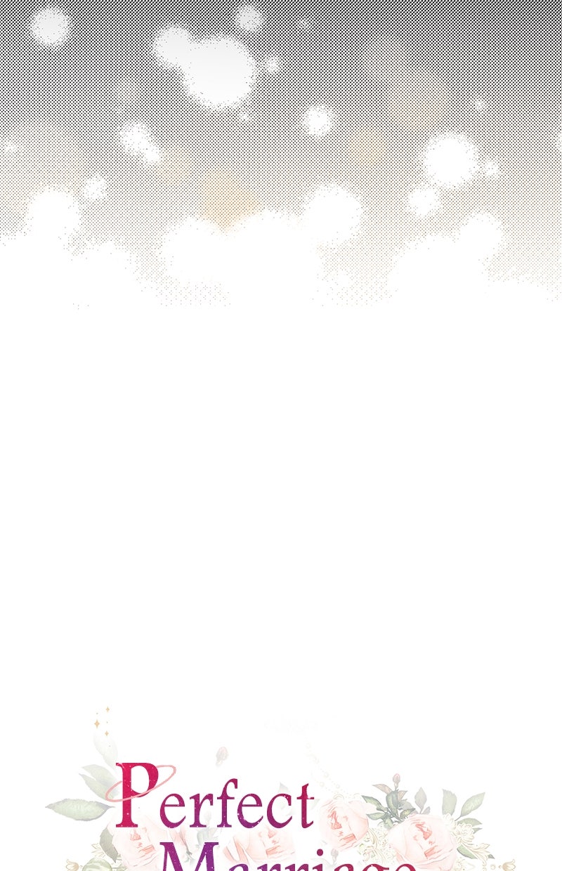 Read Perfect Marriage Revenge Manga Online