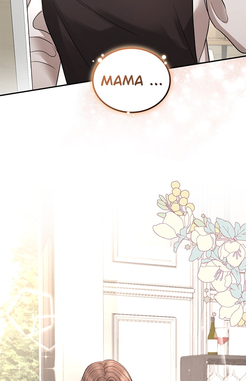 Read Perfect Marriage Revenge Manga Online