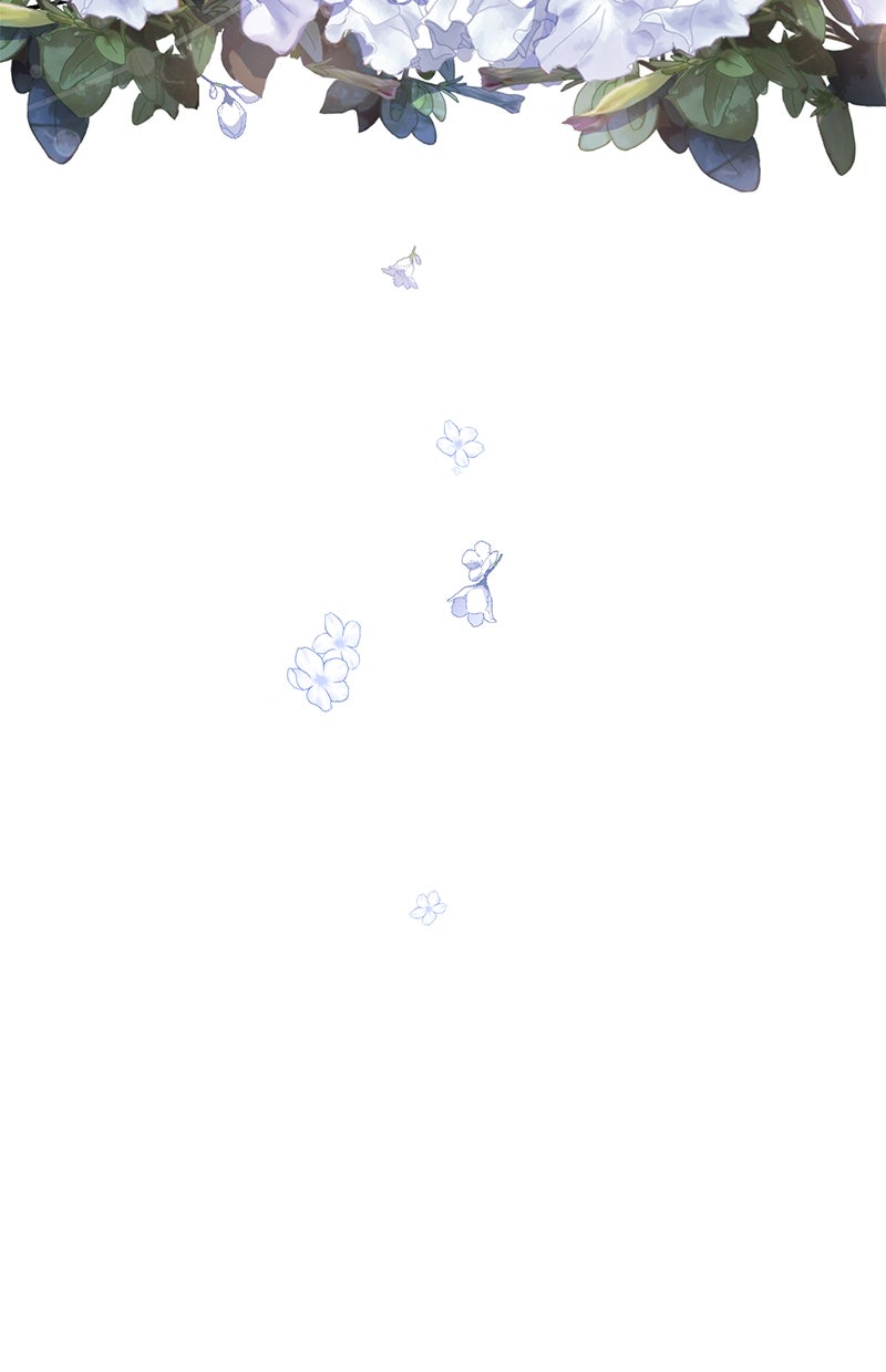 Read Perfect Marriage Revenge Manga Online