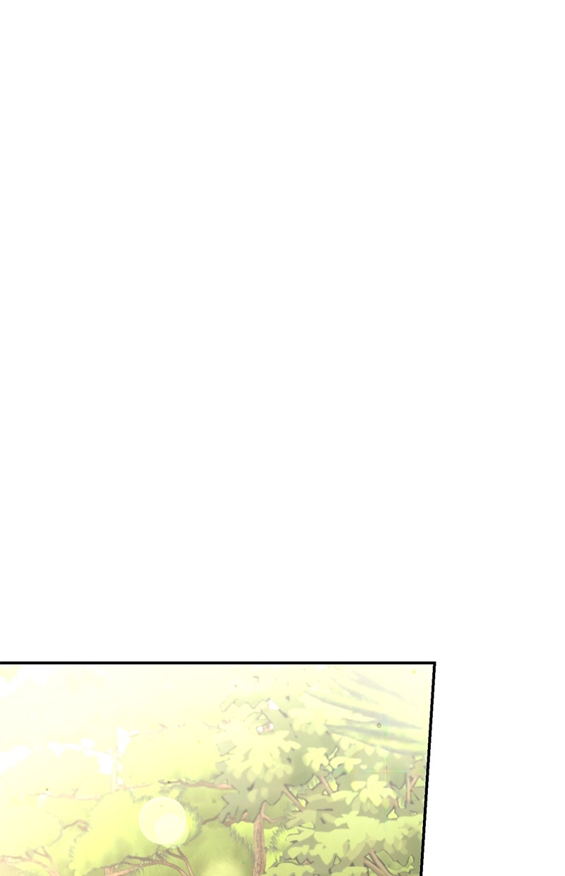 Read Perfect Marriage Revenge Manga Online