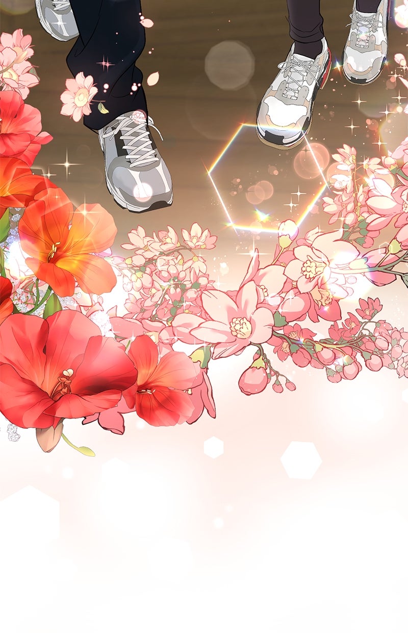 Read Perfect Marriage Revenge Manga Online