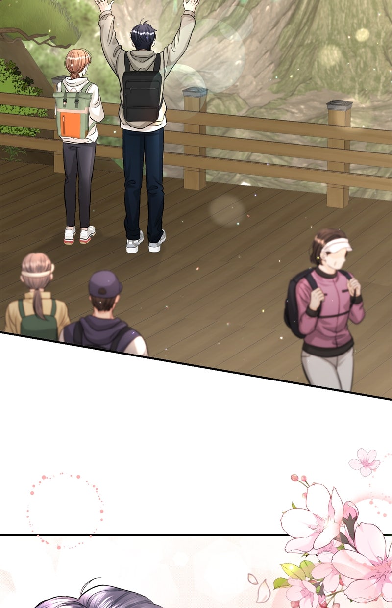 Read Perfect Marriage Revenge Manga Online