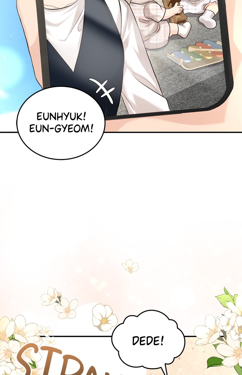 Read Perfect Marriage Revenge Manga Online