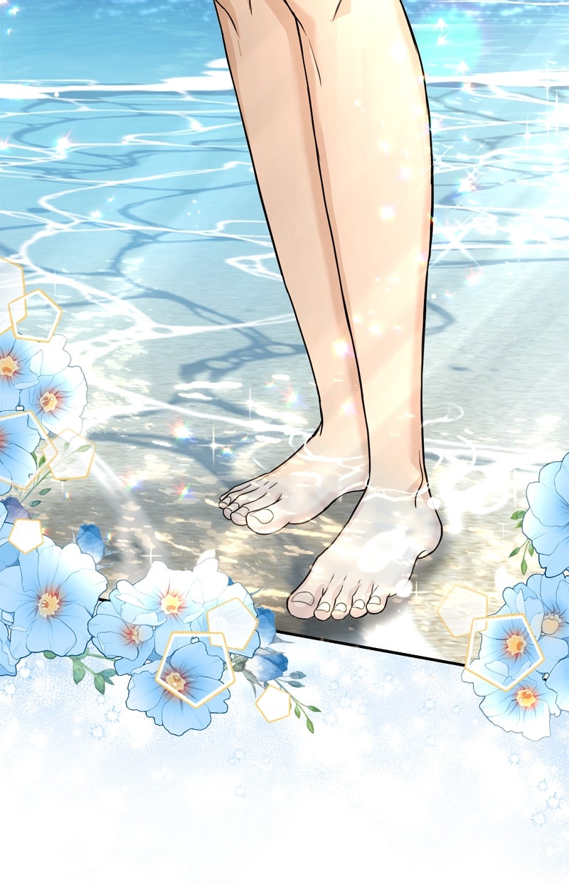 Read Perfect Marriage Revenge Manga Online