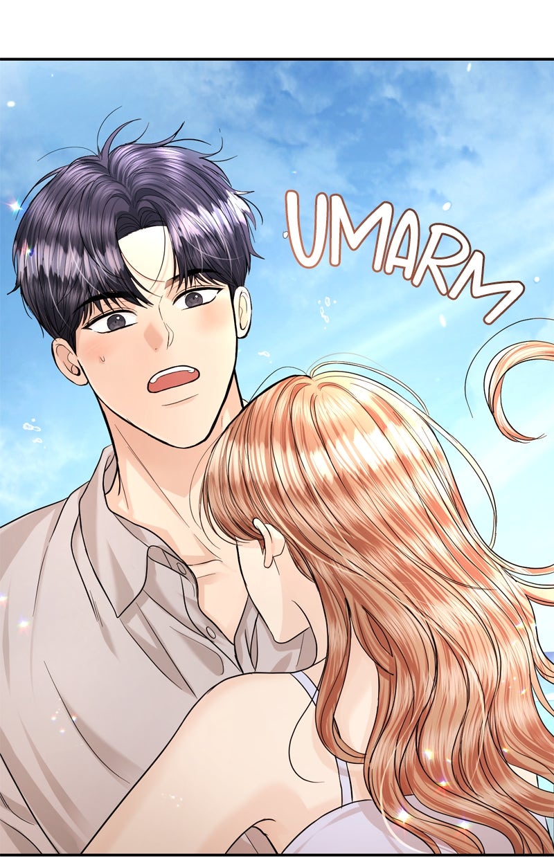 Read Perfect Marriage Revenge Manga Online