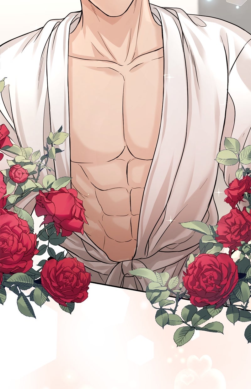 Read Perfect Marriage Revenge Manga Online