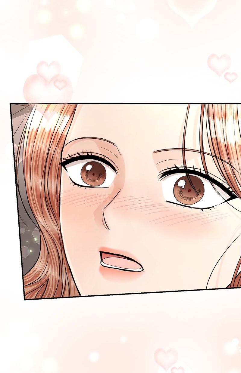 Read Perfect Marriage Revenge Manga Online