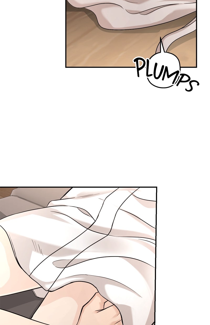 Read Perfect Marriage Revenge Manga Online