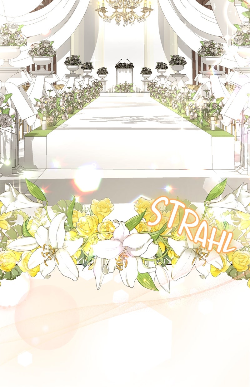 Read Perfect Marriage Revenge Manga Online