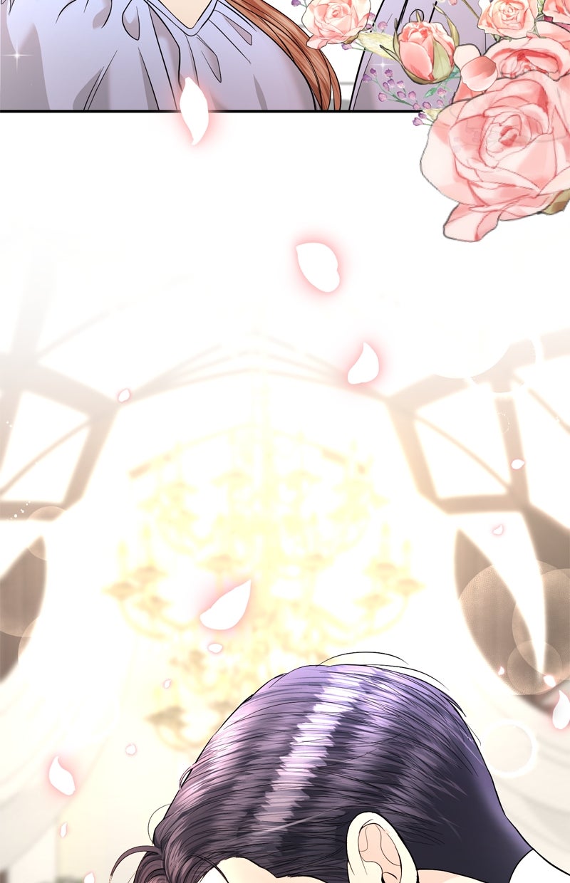 Read Perfect Marriage Revenge Manga Online