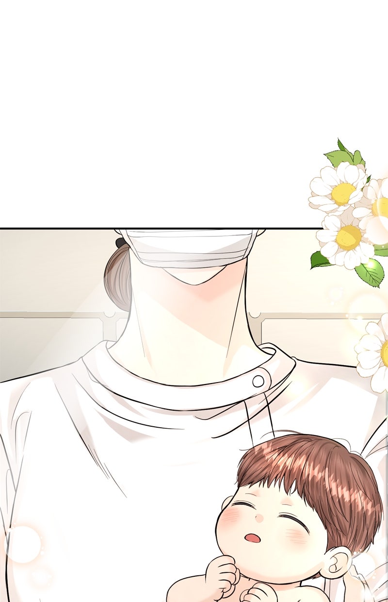 Read Perfect Marriage Revenge Manga Online